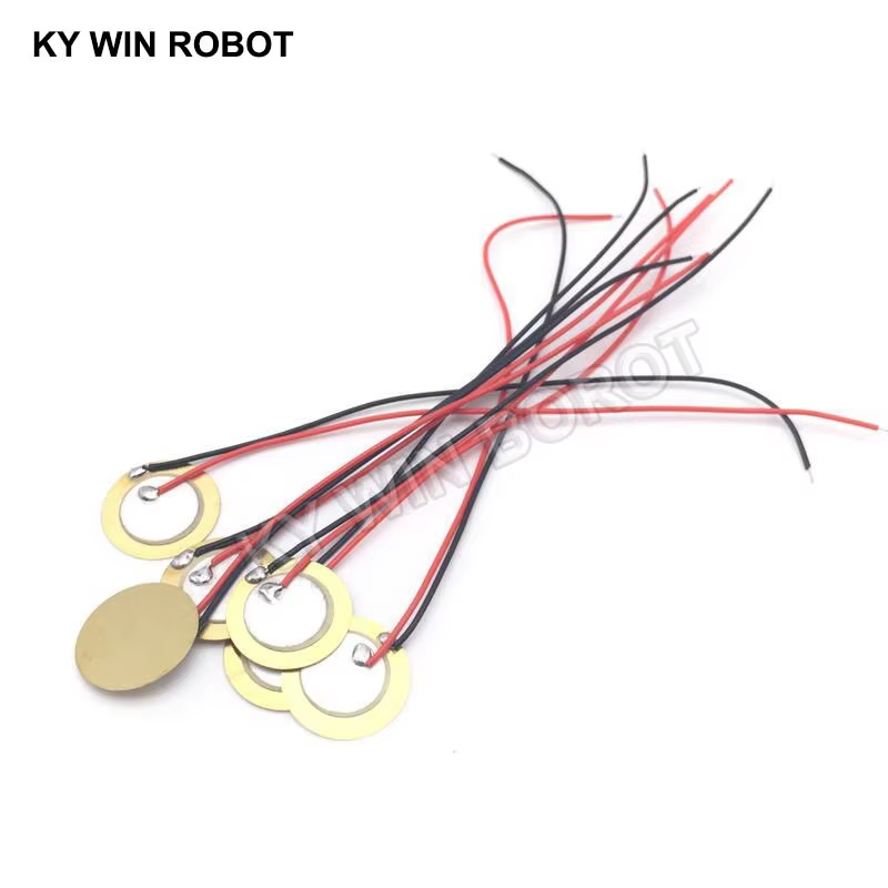 10 Buah Pelat Wafer Keramik Pi - R/Diy Electronics ulasan dan harga