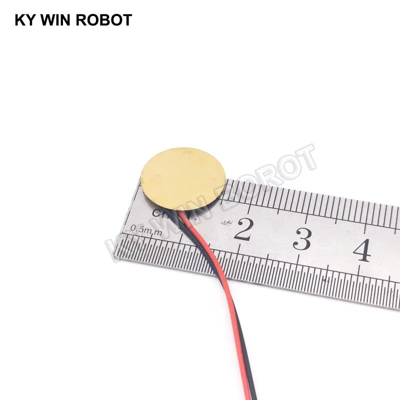 10 Buah Pelat Wafer Keramik Pi - R/Diy Electronics ulasan dan harga